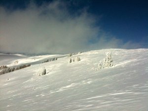 IMG_1147.JPG (537.49 KiB) Viewed 2860 times IMG_1147.JPG