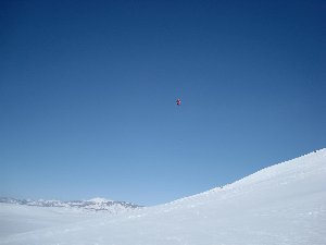 Epic_Strawberry_March_5&6_194 (Custom).jpg