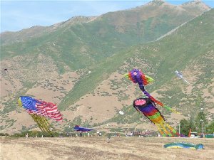 giant one line kites.JPG