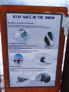 Share the snow poster.JPG