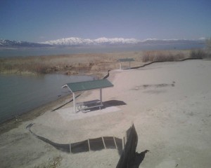 IMG00177.jpg (62.41 KiB) Viewed 3047 times IMG00177.jpg