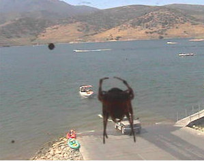 DCmonster2.jpg (77.74 KiB) Viewed 3070 times DCmonster2.jpg